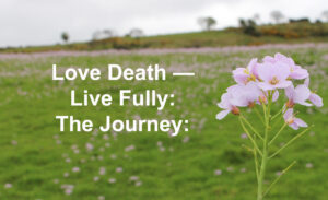 Love Death — Live Fully: the Journey